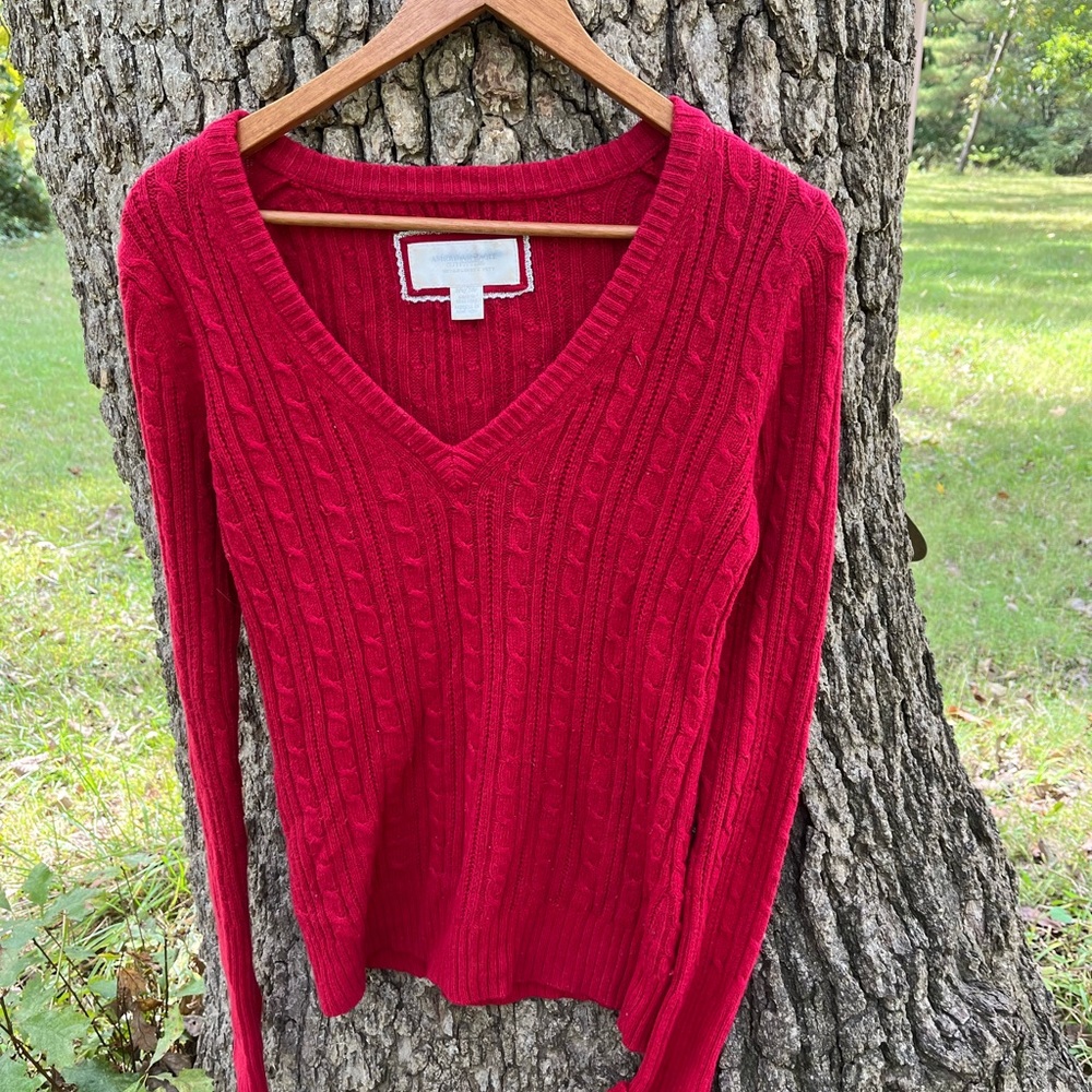 👀Big Discount !👀American Eagle Sweater in size M